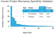 Analysis of HuProt(TM) microarray containing more than 19,000 full-length human proteins using Carbonic Anhydrase IX antibody (clone CA9/3405). These results demonstrate the foremost specificity of the CA9/3405 mAb. Z- and S- score: The Z-score represents the strength of a signal that an antibody (in combination with a fluorescently-tagged anti-IgG secondary Ab) produces when binding to a particular protein on the HuProt(TM) array. Z-scores are described in units of standard deviations (SD's) above the mean value of all signals generated on that array. If the targets on the HuProt(TM) are arranged in descending order of the Z-score, the S-score is the difference (also in units of SD's) between the Z-scores. The S-score therefore represents the relative target specificity of an Ab to its intended target.