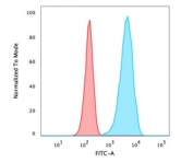 Flow cytometry testing of FPA fixed human U-87 MG cells with CA9 antibody; Red=isotype control, Blue= CA9 antibody.