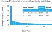 Analysis of HuProt(TM) microarray containing more than 19,000 full-length human proteins using CA9 antibody. These results demonstrate the foremost specificity of the CA9/3406 mAb. Z- and S- score: The Z-score represents the strength of a signal that an antibody (in combination with a fluorescently-tagged anti-IgG secondary Ab) produces when binding to a particular protein on the HuProt(TM) array. Z-scores are described in units of standard deviations (SD's) above the mean value of all signals generated on that array. If the targets on the HuProt(TM) are arranged in descending order of the Z-score, the S-score is the difference (also in units of SD's) between the Z-scores. The S-score therefore represents the relative target specificity of an Ab to its intended target.