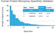 Analysis of HuProt(TM) microarray containing more than 19,000 full-length human proteins using EGFR antibody (clone GFR/2596). These results demonstrate the foremost specificity of the GFR/2596 mAb. Z- and S- score: The Z-score represents the strength of a signal that an antibody (in combination with a fluorescently-tagged anti-IgG secondary Ab) produces when binding to a particular protein on the HuProt(TM) array. Z-scores are described in units of standard deviations (SD's) above the mean value of all signals generated on that array. If the targets on the HuProt(TM) are arranged in descending order of the Z-score, the S-score is the difference (also in units of SD's) between the Z-scores. The S-score therefore represents the relative target specificity of an Ab to its intended target.