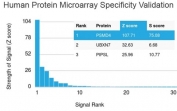 Analysis of HuProt(TM) microarray containing more than 19,000 full-length human proteins using PSMD4 antibody. These results demonstrate the foremost specificity of the CPTC-PSMD4-3 mAb. Z- and S- score: The Z-score represents the strength of a signal that an antibody (in combination with a fluorescently-tagged anti-IgG secondary Ab) produces when binding to a particular protein on the HuProt(TM) array. Z-scores are described in units of standard deviations (SD's) above the mean value of all signals generated on that array. If the targets on the HuProt(TM) are arranged in descending order of the Z-score, the S-score is the difference (also in units of SD's) between the Z-scores. The S-score therefore represents the relative target specificity of an Ab to its intended target.