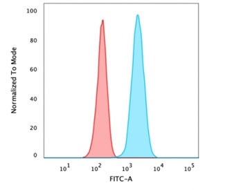 Flow cytometry testing of PFA-fixed human U-87 MG cells with Vinculin antibody (clone VCL/3617); Red=isotype control, Blue= Vinculin antibody.