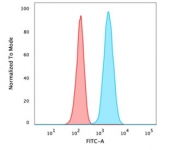 Flow cytometry testing of PFA-fixed human U-87 MG cells with Vinculin antibody (clone VCL/3617); Red=isotype control, Blue= Vinculin antibody.