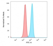 Flow cytometry testing of PFA-fixed human HeLa cells with recombinant Catenin beta antibody (clone rCTNNB1/1507); Red=isotype control, Blue= recombinant Catenin beta antibody.