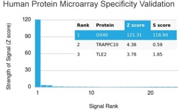 Analysis of HuProt(TM) microarray containing more than 19,000 full-length human proteins using OX40 antibody. These results demonstrate the foremost specificity of the OX40/3428 mAb. Z- and S- score: The Z-score represents the strength of a signal that an antibody (in combination with a fluorescently-tagged