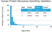 Analysis of HuProt(TM) microarray containing more than 19,000 full-length human proteins using ZNF846 antibody. These results demonstrate the foremost specificity of the ZNF846/2687 mAb. Z- and S- score: The Z-score represents the strength of a signal that an antibody (in combination with a fluorescently-tagged anti-IgG secondary Ab) produces when binding to a particular protein on the HuProt(TM) array. Z-scores are described in units of standard deviations (SD's) above the mean value of all signals generated on that array. If the targets on the HuProt(TM) are arranged in descending order of the Z-score, the S-score is the difference (also in units of SD's) between the Z-scores. The S-score therefore represents the relative target specificity of an Ab to its intended target.