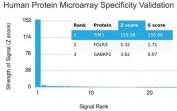 Analysis of HuProt(TM) microarray containing more than 19,000 full-length human proteins using TIM3 antibody (clone TIM3/4028). These results demonstrate the foremost specificity of the TIM3/4028 mAb. Z- and S- score: The Z-score represents the strength of a signal that an antibody (in combination with a fluorescently-tagged anti-IgG secondary Ab) produces when binding to a particular protein on the HuProt(TM) array. Z-scores are described in units of standard deviations (SD's) above the mean value of all signals generated on that array. If the targets on the HuProt(TM) are arranged in descending order of the Z-score, the S-score is the difference (also in units of SD's) between the Z-scores. The S-score therefore represents the relative target specificity of an Ab to its intended target.