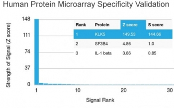 Analysis of HuProt(TM) microarray containing more than 19,000 full-length human proteins using KLK5 antibody (clone KLK5/3845). These results demonstrate the foremost specificity of the KLK5/3845 mAb. Z- and S- score: The Z-score represents the strength of a signal that an antibody (in combination with a flu
