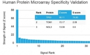 Analysis of HuProt(TM) microarray containing more than 19,000 full-length human proteins using TP53 antibody. These results demonstrate the foremost specificity of the PCRP-TP53-1F7 mAb. Z- and S- score: The Z-score represents the strength of a signal that an antibody (in combination with a fluorescently-tagged anti-IgG secondary Ab) produces when binding to a particular protein on the HuProt(TM) array. Z-scores are described in units of standard deviations (SD's) above the mean value of all signals generated on that array. If the targets on the HuProt(TM) are arranged in descending order of the Z-score, the S-score is the difference (also in units of SD's) between the Z-scores. The S-score therefore represents the relative target specificity of an Ab to its intended target.