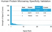 Analysis of HuProt(TM) microarray containing more than 19,000 full-length human proteins using p53 antibody. These results demonstrate the foremost specificity of the PCRP-TP53-2A10 mAb. Z- and S- score: The Z-score represents the strength of a signal that an antibody (in combination with a fluorescently-tagged anti-IgG secondary Ab) produces when binding to a particular protein on the HuProt(TM) array. Z-scores are described in units of standard deviations (SD's) above the mean value of all signals generated on that array. If the targets on the HuProt(TM) are arranged in descending order of the Z-score, the S-score is the difference (also in units of SD's) between the Z-scores. The S-score therefore represents the relative target specificity of an Ab to its intended target.
