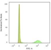 Flow cytometry testing of human PBMC with recombinant CD4 antibody (clone C40/2383); Red=isotype control, Green= recombinant CD4 antibody.