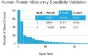Analysis of HuProt(TM) microarray containing more than 19,000 full-length human proteins using CD80 antibody (clone C80/3544). These results demonstrate the foremost specificity of the C80/3544 mAb. Z- and S- score: The Z-score represents the strength of a signal that an antibody (in combination with a fluorescently-tagged anti-IgG secondary Ab) produces when binding to a particular protein on the HuProt(TM) array. Z-scores are described in units of standard deviations (SD's) above the mean value of all signals generated on that array. If the targets on the HuProt(TM) are arranged in descending order of the Z-score, the S-score is the difference (also in units of SD's) between the Z-scores. The S-score therefore represents the relative target specificity of an Ab to its intended target.