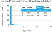 Analysis of HuProt(TM) microarray containing more than 19,000 full-length human proteins using Mesothelin antibody (clone MSLN/3384). These results demonstrate the foremost specificity of the MSLN/3384 mAb. Z- and S- score: The Z-score represents the strength of a signal that an antibody (in combination with a fluorescently-tagged anti-IgG secondary Ab) produces when binding to a particular protein on the HuProt(TM) array. Z-scores are described in units of standard deviations (SD's) above the mean value of all signals generated on that array. If the targets on the HuProt(TM) are arranged in descending order of the Z-score, the S-score is the difference (also in units of SD's) between the Z-scores. The S-score therefore represents the relative target specificity of an Ab to its intended target.