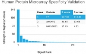 Analysis of HuProt(TM) microarray containing more than 19,000 full-length human proteins using Factor VII antibody (clone F7/3511). These results demonstrate the foremost specificity of the F7/3511 mAb. Z- and S- score: The Z-score represents the strength of a signal that an antibody (in combination with a fluorescently-tagged anti-IgG secondary Ab) produces when binding to a particular protein on the HuProt(TM) array. Z-scores are described in units of standard deviations (SD's) above the mean value of all signals generated on that array. If the targets on the HuProt(TM) are arranged in descending order of the Z-score, the S-score is the difference (also in units of SD's) between the Z-scores. The S-score therefore represents the relative target specificity of an Ab to its intended target.