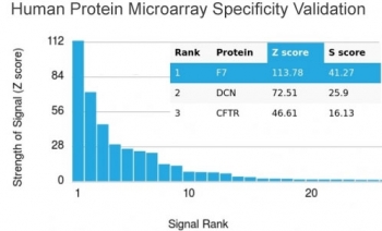 Analysis of HuProt(TM) microarray containing more than 19,000 full-length human proteins using Factor VII antibody. These results demonstrate the foremost specificity of the F7/3518 mAb. Z- and S- score: The Z-score represents the strength of a signal that an antibody (in combination with a fluorescently-tagged anti-IgG secondary Ab) produces when binding to a particular protein on the HuProt(TM) array. Z-scores are described in units of standard deviations (SD's) above the mean value of all signals generated on that array. If the targets on the HuProt(TM) are arranged in descending order of the Z-score, the S-score is the difference (also in units of SD's) between the Z-scores. The S-score therefore represents the relative target specificity of an Ab to its intended target.