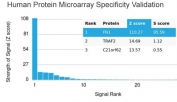 Analysis of HuProt(TM) microarray containing more than 19,000 full-length human proteins using Fibronectin antibody (clone FN1/3036). These results demonstrate the foremost specificity of the FN1/3036 mAb. Z- and S- score: The Z-score represents the strength of a signal that an antibody (in combination with a fluorescently-tagged anti-IgG secondary Ab) produces when binding to a particular protein on the HuProt(TM) array. Z-scores are described in units of standard deviations (SD's) above the mean value of all signals generated on that array. If the targets on the HuProt(TM) are arranged in descending order of the Z-score, the S-score is the difference (also in units of SD's) between the Z-scores. The S-score therefore represents the relative target specificity of an Ab to its intended target.