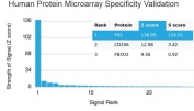 Analysis of HuProt(TM) microarray containing more than 19,000 full-length human proteins using Fibronectin antibody (clone FN1/3568). These results demonstrate the foremost specificity of the FN1/3568 mAb. Z- and S- score: The Z-score represents the strength of a signal that an antibody (in combination with a fluorescently-tagged anti-IgG secondary Ab) produces when binding to a particular protein on the HuProt(TM) array. Z-scores are described in units of standard deviations (SD's) above the mean value of all signals generated on that array. If the targets on the HuProt(TM) are arranged in descending order of the Z-score, the S-score is the difference (also in units of SD's) between the Z-scores. The S-score therefore represents the relative target specificity of an Ab to its intended target.