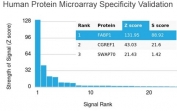 Analysis of HuProt(TM) microarray containing more than 19,000 full-length human proteins using FABP1 antibody. These results demonstrate the foremost specificity of the FABP1/3484 mAb. Z- and S- score: The Z-score represents the strength of a signal that an antibody (in combination with a fluorescently-tagged anti-IgG secondary Ab) produces when binding to a particular protein on the HuProt(TM) array. Z-scores are described in units of standard deviations (SD's) above the mean value of all signals generated on that array. If the targets on the HuProt(TM) are arranged in descending order of the Z-score, the S-score is the difference (also in units of SD's) between the Z-scores. The S-score therefore represents the relative target specificity of an Ab to its intended target.