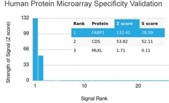 Analysis of HuProt(TM) microarray containing more than 19,000 full-length human proteins using FABP1 antibody. These results demonstrate the foremost specificity of the FABP1/3486 mAb. Z- and S- score: The Z-score represents the strength of a signal that an antibody (in combination with a fluorescently-tagged anti-IgG secondary Ab) produces when binding to a particular protein on the HuProt(TM) array. Z-scores are described in units of standard deviations (SD's) above the mean value of all signals generated on that array. If the targets on the HuProt(TM) are arranged in descending order of the Z-score, the S-score is the difference (also in units of SD's) between the Z-scores. The S-score therefore represents the relative target specificity of an Ab to its intended target.