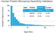 Analysis of HuProt(TM) microarray containing more than 19,000 full-length human proteins using DBC2 antibody. These results demonstrate the foremost specificity of the DBC2/3362 mAb. Z- and S- score: The Z-score represents the strength of a signal that an antibody (in combination with a fluorescently-tagged anti-IgG secondary Ab) produces when binding to a particular protein on the HuProt(TM) array. Z-scores are described in units of standard deviations (SD's) above the mean value of all signals generated on that array. If the targets on the HuProt(TM) are arranged in descending order of the Z-score, the S-score is the difference (also in units of SD's) between the Z-scores. The S-score therefore represents the relative target specificity of an Ab to its intended target.