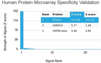 Analysis of HuProt(TM) microarray containing more than 19,000 full-length human proteins using APOAIV antibody. These results demonstrate the foremost specificity of the APOA4/3372 mAb. Z- and S- score: The Z-score represents the strength of a signal that an antibody (in combination with a fluorescently-tagged anti-IgG secondary Ab) produces when binding to a particular protein on the HuProt(TM) array. Z-scores are described in units of standard deviations (SD's) above the mean value of all signals generated on that array. If the targets on the HuProt(TM) are arranged in descending order of the Z-score, the S-score is the difference (also in units of SD's) between the Z-scores. The S-score therefore represents the relative target specificity of an Ab to its intended target.