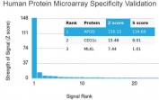 Analysis of HuProt(TM) microarray containing more than 19,000 full-length human proteins using Apolipoprotein D antibody. These results demonstrate the foremost specificity of the APOD/3412 mAb. Z- and S- score: The Z-score represents the strength of a signal that an antibody (in combination with a fluorescently-tagged anti-IgG secondary Ab) produces when binding to a particular protein on the HuProt(TM) array. Z-scores are described in units of standard deviations (SD's) above the mean value of all signals generated on that array. If the targets on the HuProt(TM) are arranged in descending order of the Z-score, the S-score is the difference (also in units of SD's) between the Z-scores. The S-score therefore represents the relative target specificity of an Ab to its intended target.