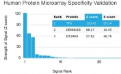 Analysis of HuProt(TM) microarray containing more than 19,000 full-length human proteins using Thyroid Peroxidase antibody. These results demonstrate the foremost specificity of the TPO/3702 mAb. Z- and S- score: The Z-score represents the strength of a signal that an antibody (in combination with a fluorescently-tagged anti-IgG secondary Ab) produces when binding to a particular protein on the HuProt(TM) array. Z-scores are described in units of standard deviations (SD's) above the mean value of all signals generated on that array. If the targets on the HuProt(TM) are arranged in descending order of the Z-score, the S-score is the difference (also in units of SD's) between the Z-scores. The S-score therefore represents the relative target specificity of an Ab to its intended target.