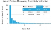 Analysis of HuProt(TM) microarray containing more than 19,000 full-length human proteins using TPO antibody. These results demonstrate the foremost specificity of the TPO/3694 mAb. Z- and S- score: The Z-score represents the strength of a signal that an antibody (in combination with a fluorescently-tagged anti-IgG secondary Ab) produces when binding to a particular protein on the HuProt(TM) array. Z-scores are described in units of standard deviations (SD's) above the mean value of all signals generated on that array. If the targets on the HuProt(TM) are arranged in descending order of the Z-score, the S-score is the difference (also in units of SD's) between the Z-scores. The S-score therefore represents the relative target specificity of an Ab to its intended target.