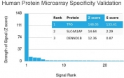 Analysis of HuProt(TM) microarray containing more than 19,000 full-length human proteins using TPO antibody. These results demonstrate the foremost specificity of the TPO/3695 mAb. Z- and S- score: The Z-score represents the strength of a signal that an antibody (in combination with a fluorescently-tagged anti-IgG secondary Ab) produces when binding to a particular protein on the HuProt(TM) array. Z-scores are described in units of standard deviations (SD's) above the mean value of all signals generated on that array. If the targets on the HuProt(TM) are arranged in descending order of the Z-score, the S-score is the difference (also in units of SD's) between the Z-scores. The S-score therefore represents the relative target specificity of an Ab to its intended target.