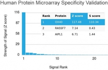 Analysis of HuProt(TM) microarray containing more than 19,000 full-length human proteins using OX40 antibody. These results demonstrate the foremost specificity of the OX40/3427 mAb. Z- and S- score: The Z-score represents the strength of a signal that an antibody (in combination with a fluorescently-tagged anti-IgG secondary Ab) produces when binding to a particular protein on the HuProt(TM) array. Z-scores are described in units of standard deviations (SD's) above the mean value of all signals generated on that array. If the targets on the HuProt(TM) are arranged in descending order of the Z-score, the S-score is the difference (also in units of SD's) between the Z-scores. The S-score therefore represents the relative target specificity of an Ab to its intended target.