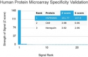 Analysis of HuProt(TM) microarray containing more than 19,000 full-length human proteins using HSP90AB1 antibody. These results demonstrate the foremost specificity of the HSP90AB1/3952 mAb. Z- and S- score: The Z-score represents the strength of a signal that an antibody (in combination with a fluorescently-tagged anti-IgG secondary Ab) produces when binding to a particular protein on the HuProt(TM) array. Z-scores are described in units of standard deviations (SD's) above the mean value of all signals generated on that array. If the targets on the HuProt(TM) are arranged in descending order of the Z-score, the S-score is the difference (also in units of SD's) between the Z-scores. The S-score therefore represents the relative target specificity of an Ab to its intended target.