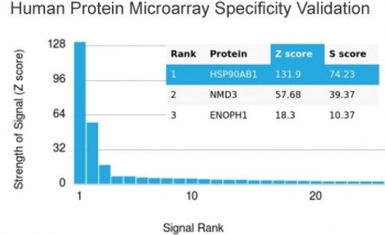 Analysis of HuProt(TM) microarray containing more than 19,000 full-length human proteins using HSP90AB1 antibody. These results demonstrate the foremost specificity of the HSP90AB1/3954 mAb. Z- and S- score: The Z-score represents the strength of a signal that an antibody (in combination with a fluorescently-tagged anti-IgG secondary Ab) produces when binding to a particular protein on the HuProt(TM) array. Z-scores are described in units of standard deviations (SD's) above the mean value of all signals generated on that array. If the targets on the HuProt(TM) are arranged in descending order of the Z-score, the S-score is the difference (also in units of SD's) between the Z-scores. The S-score therefore represents the relative target specificity of an Ab to its intended target.