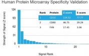 Analysis of HuProt(TM) microarray containing more than 19,000 full-length human proteins using CD10 antibody. These results demonstrate the foremost specificity of the MME/3739 mAb. Z- and S- score: The Z-score represents the strength of a signal that an antibody (in combination with a fluorescently-tagged anti-IgG secondary Ab) produces when binding to a particular protein on the HuProt(TM) array. Z-scores are described in units of standard deviations (SD's) above the mean value of all signals generated on that array. If the targets on the HuProt(TM) are arranged in descending order of the Z-score, the S-score is the difference (also in units of SD's) between the Z-scores. The S-score therefore represents the relative target specificity of an Ab to its intended target.