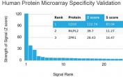Analysis of HuProt(TM) microarray containing more than 19,000 full-length human proteins using CD10 antibody. These results demonstrate the foremost specificity of the MME/4233 mAb. Z- and S- score: The Z-score represents the strength of a signal that an antibody (in combination with a fluorescently-tagged anti-IgG secondary Ab) produces when binding to a particular protein on the HuProt(TM) array. Z-scores are described in units of standard deviations (SD's) above the mean value of all signals generated on that array. If the targets on the HuProt(TM) are arranged in descending order of the Z-score, the S-score is the difference (also in units of SD's) between the Z-scores. The S-score therefore represents the relative target specificity of an Ab to its intended target.
