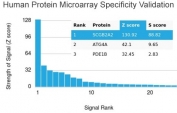 Analysis of HuProt(TM) microarray containing more than 19,000 full-length human proteins using recombinant Mammaglobin antibody (clone MGB/4057R). These results demonstrate the foremost specificity of the MGB/4057R mAb. Z- and S- score: The Z-score represents the strength of a signal that an antibody (in combination with a fluorescently-tagged anti-IgG secondary Ab) produces when binding to a particular protein on the HuProt(TM) array. Z-scores are described in units of standard deviations (SD's) above the mean value of all signals generated on that array. If the targets on the HuProt(TM) are arranged in descending order of the Z-score, the S-score is the difference (also in units of SD's) between the Z-scores. The S-score therefore represents the relative target specificity of an Ab to its intended target.