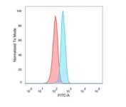 Flow cytometry testing of PFA-fixed human MCF7 cells with SOD1 antibody; Red=isotype control, Blue= SOD1 antibody.