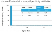 Analysis of HuProt(TM) microarray containing more than 19,000 full-length human proteins using TPO antibody. These results demonstrate the foremost specificity of the TPO/3701 mAb. Z- and S- score: The Z-score represents the strength of a signal that an antibody (in combination with a fluorescently-tagged anti-IgG secondary Ab) produces when binding to a particular protein on the HuProt(TM) array. Z-scores are described in units of standard deviations (SD's) above the mean value of all signals generated on that array. If the targets on the HuProt(TM) are arranged in descending order of the Z-score, the S-score is the difference (also in units of SD's) between the Z-scores. The S-score therefore represents the relative target specificity of an Ab to its intended target.