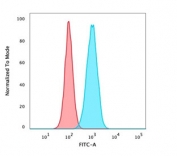 Flow cytometry testing of PFA-fixed human HeLa cells with recombinant p40 antibody (clone TP40/3980R); Red=isotype control, Blue= recombinant p40 antibody.