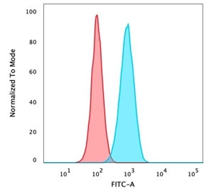 Flow cytometry testing of PFA-fixed human HeLa cells with deltaNp63 antibody (clone ZR8); Red=isotype control, Blue= deltaNp63 antibody.