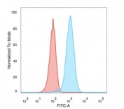 Flow cytometry testing of PFA-fixed human MCF7 cells with HER2 antibody (clone ZR5); Red=isotype control, Blue= HER2 antibody.