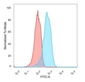 Flow cytometry testing of PFA-fixed human MCF7 cells with Estrogen Receptor beta 1 antibody (clone PGP5/10); Red=isotype control, Blue= Estrogen Receptor beta 1 antibody.