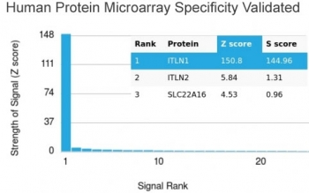 Analysis of HuProt(TM) microarray containing more than 19,000 full-length human proteins using Intelectin 1 antibody (clone ITLN1/4061). These results demonstrate the foremost specificity of the ITLN1/4061 mAb. Z- and S- score: The Z-score represents the strength of a signal that an antibody (in combination