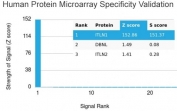 Analysis of HuProt(TM) microarray containing more than 19,000 full-length human proteins using Intelectin 1 antibody (clone ITLN1/4062). These results demonstrate the foremost specificity of the ITLN1/4062 mAb. Z- and S- score: The Z-score represents the strength of a signal that an antibody (in combination with a fluorescently-tagged anti-IgG secondary Ab) produces when binding to a particular protein on the HuProt(TM) array. Z-scores are described in units of standard deviations (SD's) above the mean value of all signals generated on that array. If the targets on the HuProt(TM) are arranged in descending order of the Z-score, the S-score is the difference (also in units of SD's) between the Z-scores. The S-score therefore represents the relative target specificity of an Ab to its intended target.