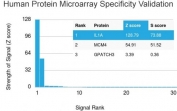 Analysis of HuProt(TM) microarray containing more than 19,000 full-length human proteins using IL1A antibody. These results demonstrate the foremost specificity of the IL1A/3981 mAb. Z- and S- score: The Z-score represents the strength of a signal that an antibody (in combination with a fluorescently-tagged anti-IgG secondary Ab) produces when binding to a particular protein on the HuProt(TM) array. Z-scores are described in units of standard deviations (SD's) above the mean value of all signals generated on that array. If the targets on the HuProt(TM) are arranged in descending order of the Z-score, the S-score is the difference (also in units of SD's) between the Z-scores. The S-score therefore represents the relative target specificity of an Ab to its intended target.