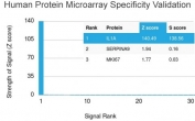 Analysis of HuProt(TM) microarray containing more than 19,000 full-length human proteins using IL-1 alpha antibody (clone IL1A/3982). These results demonstrate the foremost specificity of the IL1A/3982 mAb. Z- and S- score: The Z-score represents the strength of a signal that an antibody (in combination with a fluorescently-tagged anti-IgG secondary Ab) produces when binding to a particular protein on the HuProt(TM) array. Z-scores are described in units of standard deviations (SD's) above the mean value of all signals generated on that array. If the targets on the HuProt(TM) are arranged in descending order of the Z-score, the S-score is the difference (also in units of SD's) between the Z-scores. The S-score therefore represents the relative target specificity of an Ab to its intended target.