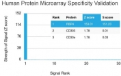 Analysis of HuProt(TM) microarray containing more than 19,000 full-length human proteins using RBP4 antibody. These results demonstrate the foremost specificity of the RBP4/4047 mAb. Z- and S- score: The Z-score represents the strength of a signal that an antibody (in combination with a fluorescently-tagged anti-IgG secondary Ab) produces when binding to a particular protein on the HuProt(TM) array. Z-scores are described in units of standard deviations (SD's) above the mean value of all signals generated on that array. If the targets on the HuProt(TM) are arranged in descending order of the Z-score, the S-score is the difference (also in units of SD's) between the Z-scores. The S-score therefore represents the relative target specificity of an Ab to its intended target.