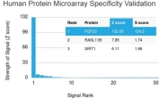 Analysis of HuProt(TM) microarray containing more than 19,000 full-length human proteins using FGF23 antibody. These results demonstrate the foremost specificity of the FGF23/4162 mAb. Z- and S- score: The Z-score represents the strength of a signal that an antibody (in combination with a fluorescently-tagged anti-IgG secondary Ab) produces when binding to a particular protein on the HuProt(TM) array. Z-scores are described in units of standard deviations (SD's) above the mean value of all signals generated on that array. If the targets on the HuProt(TM) are arranged in descending order of the Z-score, the S-score is the difference (also in units of SD's) between the Z-scores. The S-score therefore represents the relative target specificity of an Ab to its intended target.