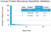 Analysis of HuProt(TM) microarray containing more than 19,000 full-length human proteins using FGF-23 antibody. These results demonstrate the foremost specificity of the FGF23/4166 mAb. Z- and S- score: The Z-score represents the strength of a signal that an antibody (in combination with a fluorescently-tagged anti-IgG secondary Ab) produces when binding to a particular protein on the HuProt(TM) array. Z-scores are described in units of standard deviations (SD's) above the mean value of all signals generated on that array. If the targets on the HuProt(TM) are arranged in descending order of the Z-score, the S-score is the difference (also in units of SD's) between the Z-scores. The S-score therefore represents the relative target specificity of an Ab to its intended target.
