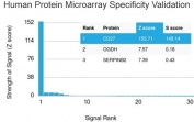 Analysis of HuProt(TM) microarray containing more than 19,000 full-length human proteins using CD27 antibody (clone LPFS2/4179). These results demonstrate the foremost specificity of the LPFS2/4179 mAb. Z- and S- score: The Z-score represents the strength of a signal that an antibody (in combination with a fluorescently-tagged anti-IgG secondary Ab) produces when binding to a particular protein on the HuProt(TM) array. Z-scores are described in units of standard deviations (SD's) above the mean value of all signals generated on that array. If the targets on the HuProt(TM) are arranged in descending order of the Z-score, the S-score is the difference (also in units of SD's) between the Z-scores. The S-score therefore represents the relative target specificity of an Ab to its intended target.