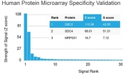 Analysis of HuProt(TM) microarray containing more than 19,000 full-length human proteins using DBC2 antibody. These results demonstrate the foremost specificity of the DBC2/3364 mAb. Z- and S- score: The Z-score represents the strength of a signal that an antibody (in combination with a fluorescently-tagged anti-IgG secondary Ab) produces when binding to a particular protein on the HuProt(TM) array. Z-scores are described in units of standard deviations (SD's) above the mean value of all signals generated on that array. If the targets on the HuProt(TM) are arranged in descending order of the Z-score, the S-score is the difference (also in units of SD's) between the Z-scores. The S-score therefore represents the relative target specificity of an Ab to its intended target.